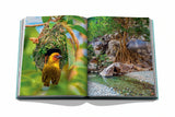 Red Sea: Saudi Coast - Book